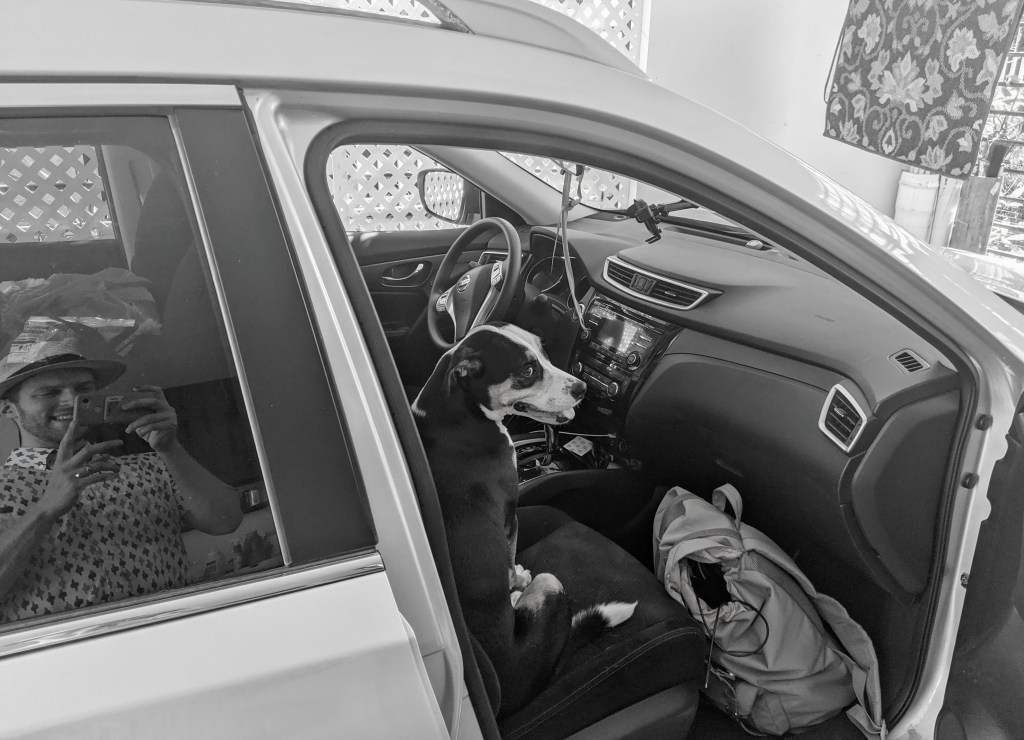 A gringo driving in Puerto&nbsp;Rico