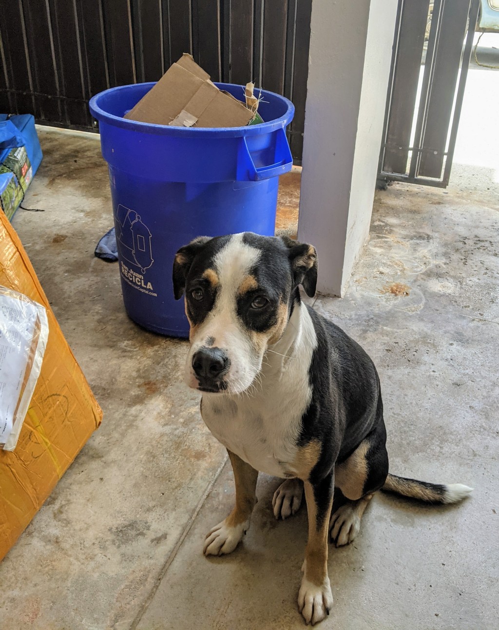 What’s up with&nbsp;recycling?