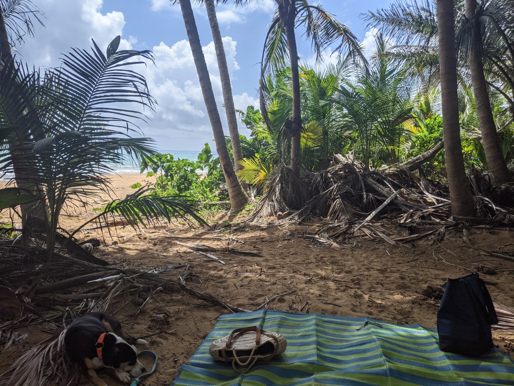 Island weather (the good&nbsp;parts)