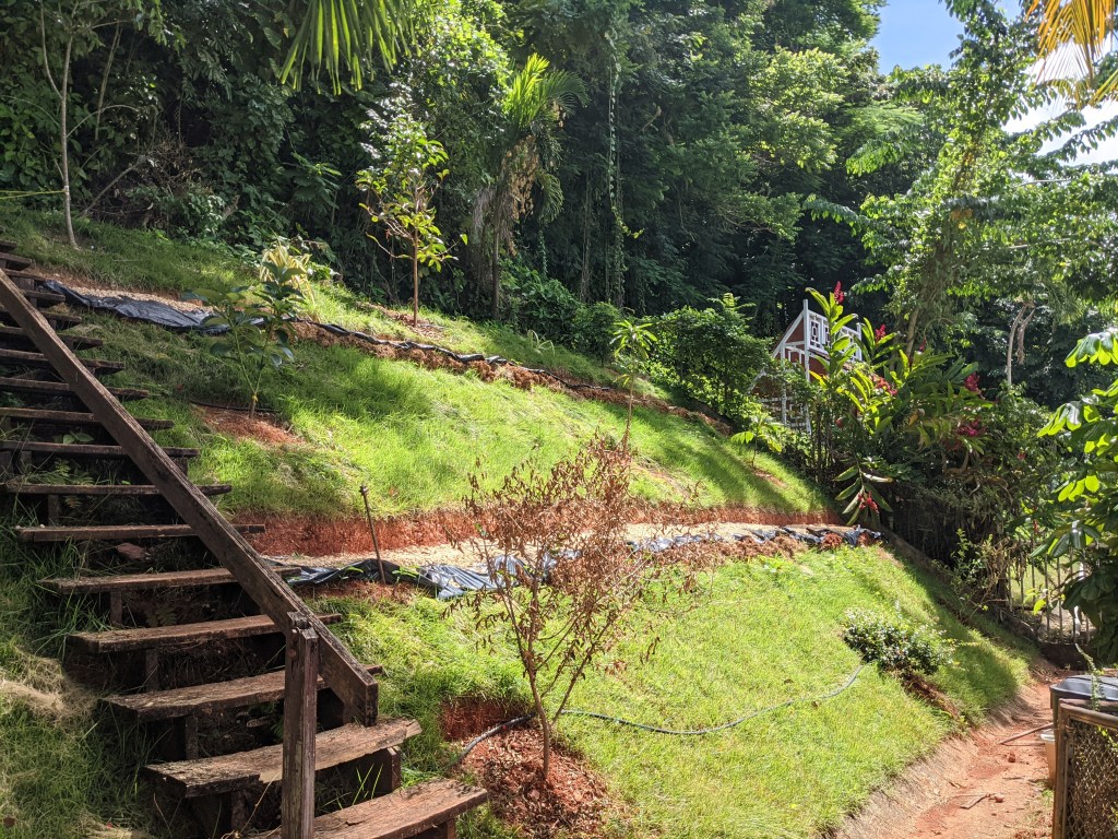 Composting at home: Chapter 3 (it’s&nbsp;ready!)